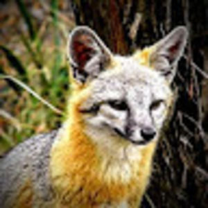 Meet your Posher, Travis